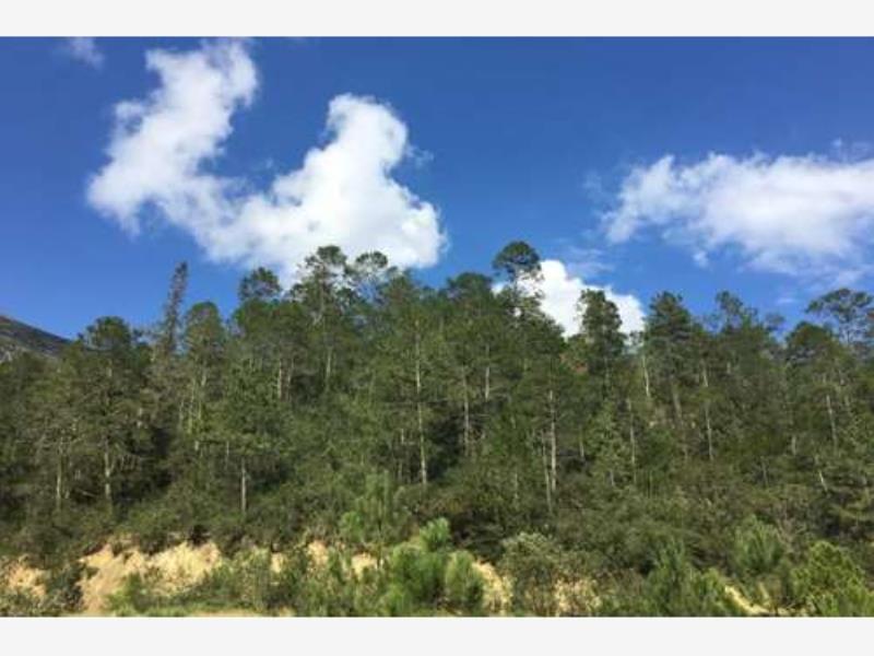 Terreno en venta en Los Lirios, Arteaga — foto 1 de 7