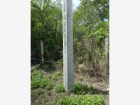 Terreno en venta en Sierra Papacal, Mérida — foto 3 de 4
