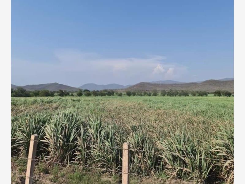 Terreno en venta en Cuauhtemoc, Cuauhtémoc