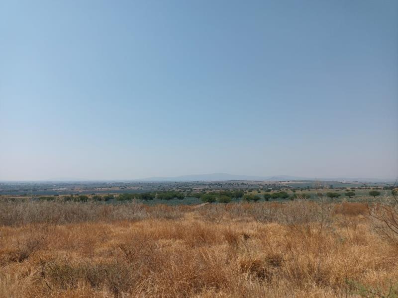 Terreno en venta en Silao Centro, Silao de la Victoria — foto 1 de 3