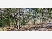 Terreno en venta en Pablo Torres Burgos, Cuautla — foto 3 de 5