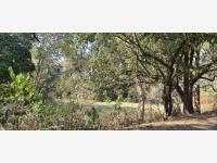 Terreno en venta en Pablo Torres Burgos, Cuautla — foto 2 de 5