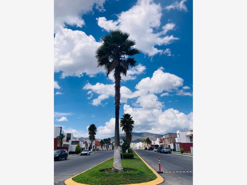 Terreno en venta en El Tezontle, Pachuca de Soto
