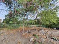 Terreno en venta en Petrolera, Altamira — foto 2 de 2