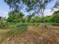 Terreno en venta en Las Marismas, Altamira — foto 3 de 3