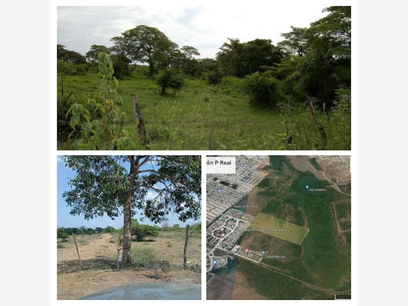 Terreno en venta en Rincón de Palma Real, Veracruz