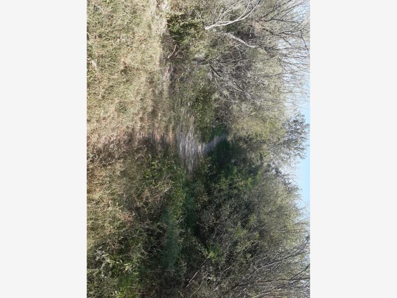 Terreno en Venta en Del Refugio
