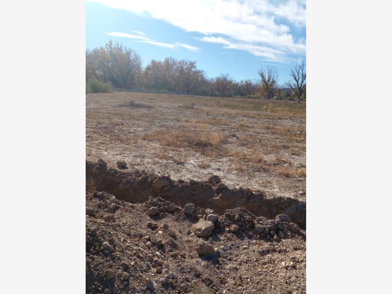 Terreno en Venta en Parras de la Fuente Centro