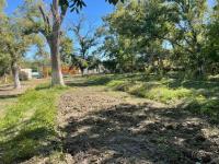 Terreno en venta en Parras de la Fuente Centro, Parras — foto 2 de 2