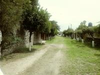 Casa en venta en Chiconcuac, Xochitepec — foto 3 de 15