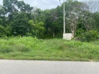 Terreno en venta en Yaxcopoil, Umán — foto 3 de 16