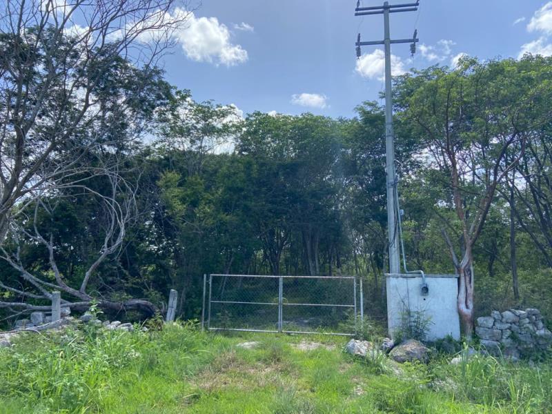 Terreno en venta en Yaxcopoil, Umán — foto 1 de 16