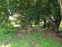 Terreno en venta en Ocotepec, Cuernavaca — foto 2 de 4