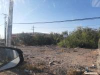 Terreno en renta en San Pedro Centro, San Pedro — foto 3 de 4
