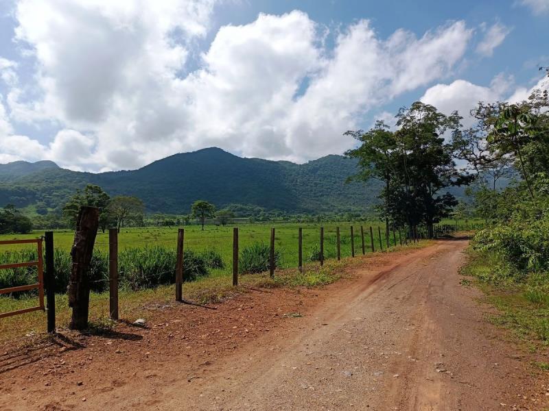 Finca-Rancho en venta en Ocozocoautla de Espinosa Centro, Ocozocoautla de Espinosa, Chiapas