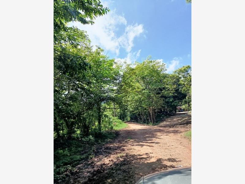 Finca-Rancho en venta en Ocozocoautla de Espinosa Centro, Ocozocoautla de Espinosa, Chiapas