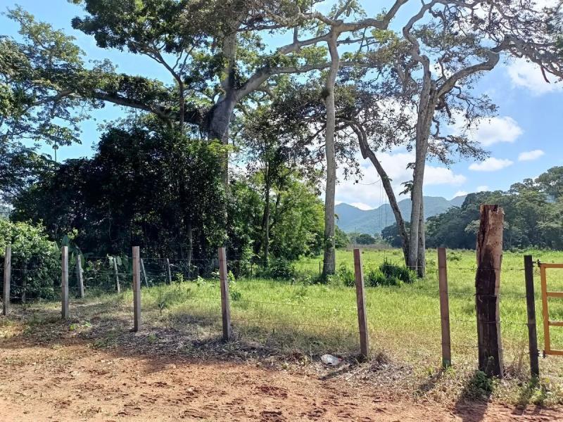Finca-Rancho en venta en Ocozocoautla de Espinosa Centro, Ocozocoautla de Espinosa, Chiapas
