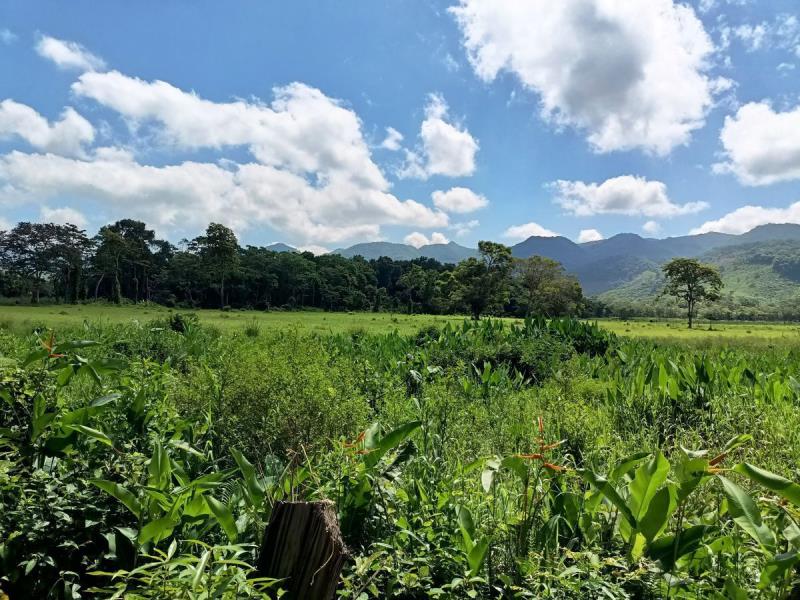Finca-Rancho en venta en Ocozocoautla de Espinosa Centro, Ocozocoautla de Espinosa, Chiapas
