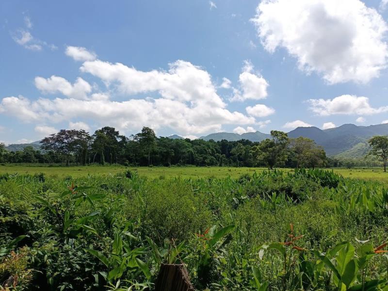 Finca-Rancho en venta en Ocozocoautla de Espinosa Centro, Ocozocoautla de Espinosa, Chiapas