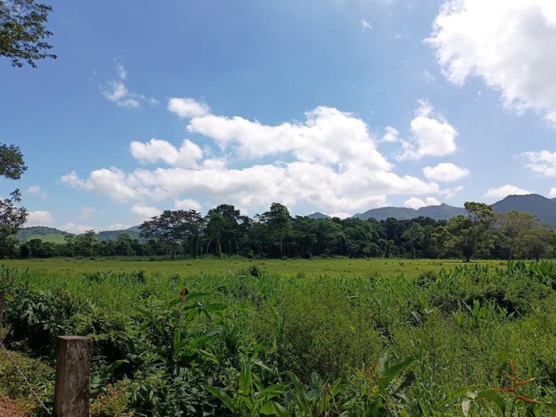 Finca-Rancho en venta en Ocozocoautla de Espinosa Centro, Ocozocoautla de Espinosa, Chiapas