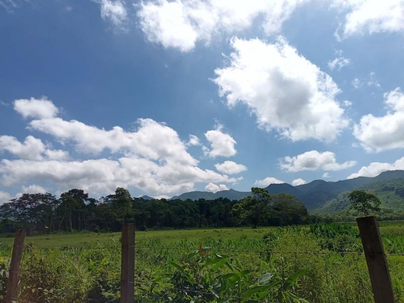 Finca-Rancho en venta en Ocozocoautla de Espinosa Centro, Ocozocoautla de Espinosa, Chiapas