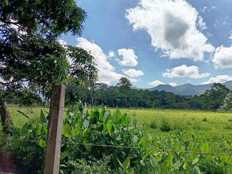 Finca-Rancho en venta en Ocozocoautla de Espinosa Centro, Ocozocoautla de Espinosa, Chiapas
