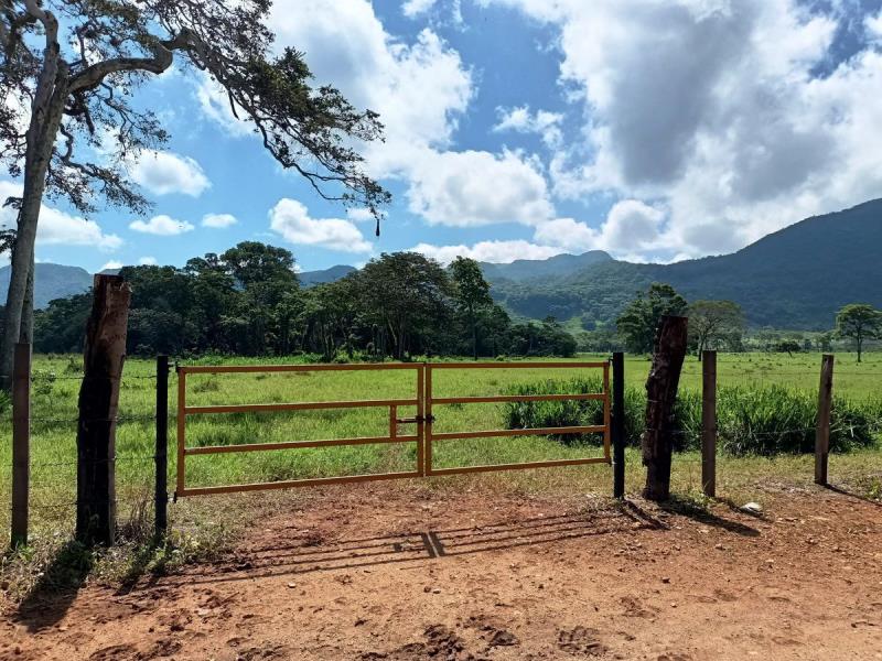 Finca-Rancho en venta en Ocozocoautla de Espinosa Centro, Ocozocoautla de Espinosa, Chiapas