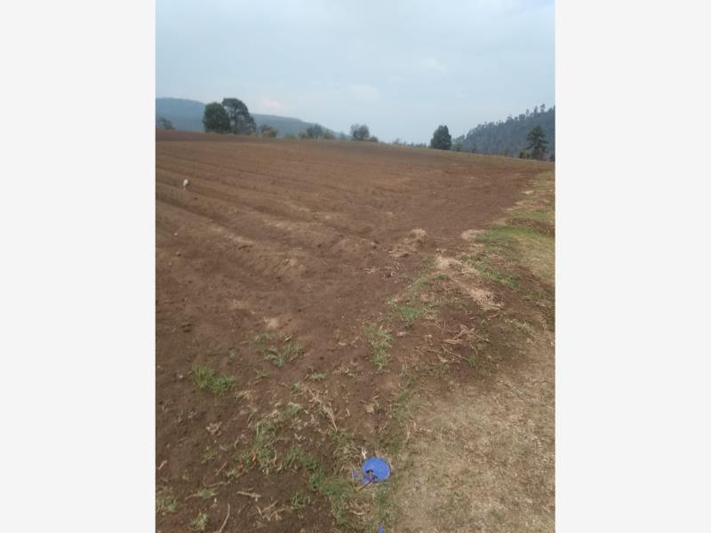 Terreno en venta en San Pedro, Almoloya de Juárez