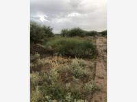 Terreno en venta en Ejido San Miguel, Matamoros — foto 3 de 7