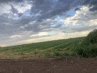 Terreno en venta en Ejido San Miguel, Matamoros, Coahuila de Zaragoza Terreno en venta en Ejido San Miguel, Matamoros, Coahuila de Zaragoza