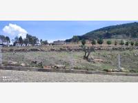 Terreno en venta en Los Arenales (San Juan Dehedó), Amealco de Bonfil — foto 3 de 19