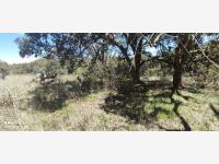 Terreno en venta en San Pedro Tenango, Amealco de Bonfil — foto 2 de 17