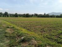 Terreno en venta en San Isidro Huilotepec, Atlixco — foto 2 de 5