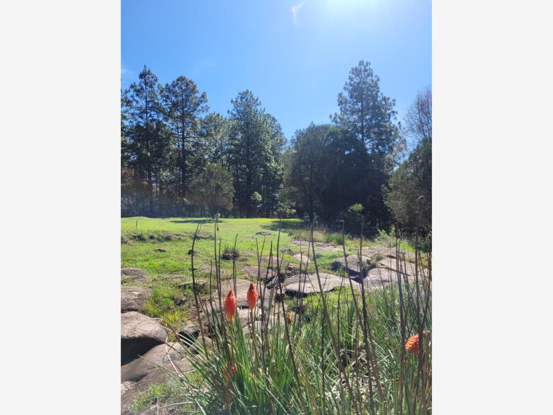 Terreno en venta en Bermúdez, Huasca de Ocampo — foto 1 de 15