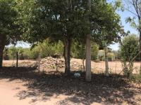 Terreno en venta en San Pedro, Navolato — foto 2 de 12