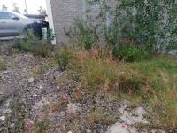 Terreno en venta en Misión de San Diego, Morelia — foto 3 de 10