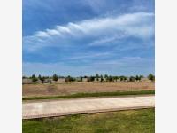 Terreno en venta en La Gran Vinícola, Gómez Palacio — foto 2 de 9