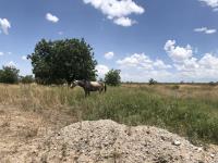 Terreno en venta en Los Hoyos (El Potrero), Parras — foto 3 de 29