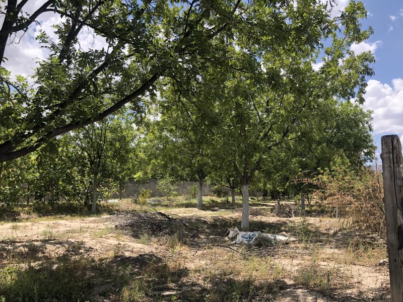 Terreno en venta en Los Hoyos (El Potrero), Parras — foto 1 de 29