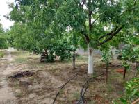Casa en venta en Seis de Enero, Parras — foto 2 de 12