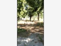 Casa en venta en Parras de la Fuente Centro, Parras — foto 2 de 8
