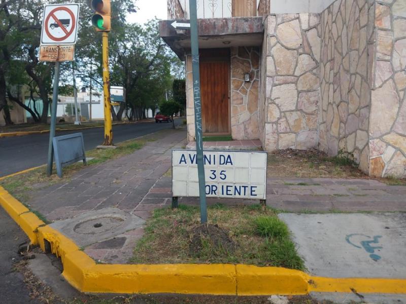 Imagen 5