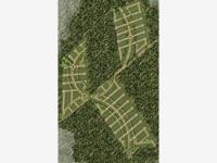 Terreno en venta en Chicxulub Puerto, Progreso — foto 3 de 3