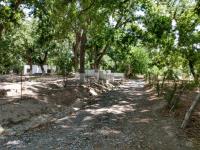 Terreno en venta en Las Palmeras, Parras — foto 2 de 8