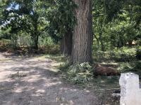 Terreno en venta en Parras de la Fuente Centro, Parras — foto 3 de 4