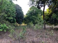 Terreno en venta en El Copital, Medellín de Bravo — foto 2 de 9