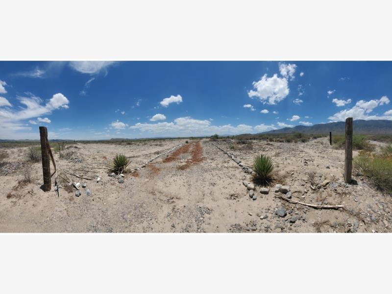 Terreno en venta en Viesca Centro, Viesca — foto 1 de 4