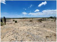 Terreno en venta en Viesca Centro, Viesca — foto 3 de 4