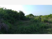Terreno en venta en Anton Lizardo, Alvarado — foto 2 de 5