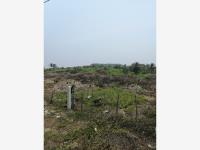 Venta terreno en Riviera Veracruzana, orilla carretera 7 hectáreas, a 10 minutos de Boca del Río Ver